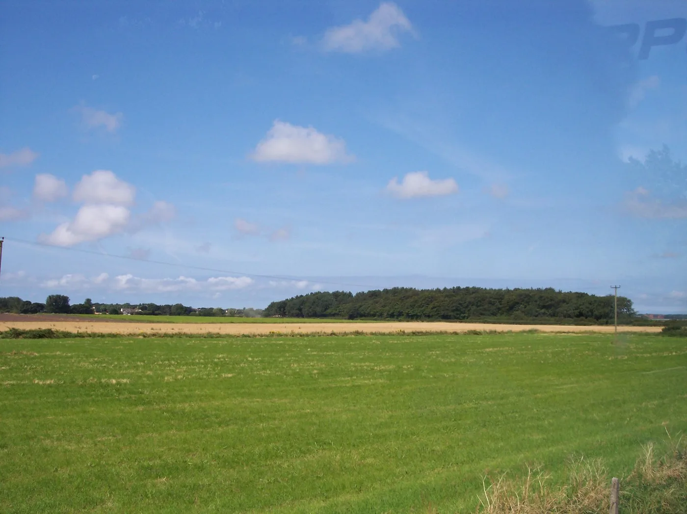 Orrell Hill Wood at Ince Blundell, seen across the fields from the south. The photograph predates the application and does not show the proposed event.